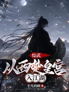 从综武开始