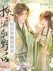 凤髓番外儿子