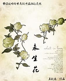 永生花吧 永生花吧