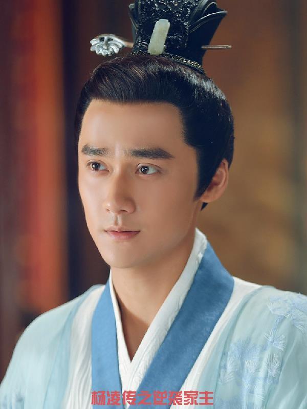 杨凌传全集48集星辰 杨凌传全集48集星辰