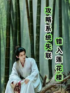 攻略系统之