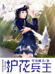 护花兵王蝎子完本 护花兵王蝎子完本