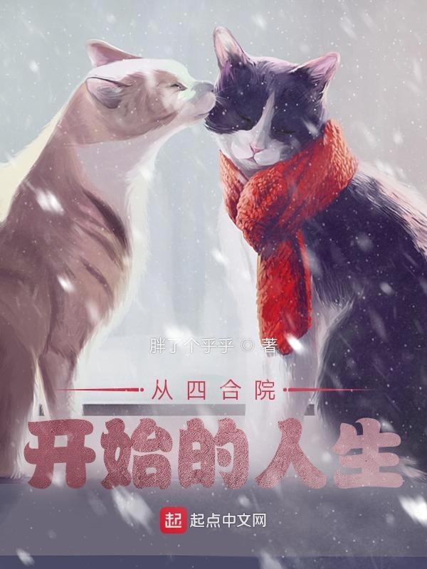 从四合院开始的人生何建国 从四合院开始的人生何建国