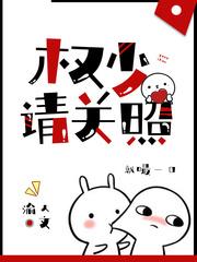 权少请关照无弹窗