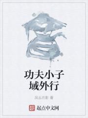功夫小子域外行 功夫小子域外行