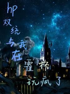 HP双统与我在霍格玩疯了 HP双统与我在霍格玩疯了