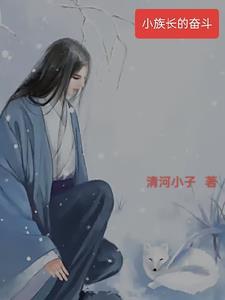 小族长的奋斗 小族长的奋斗