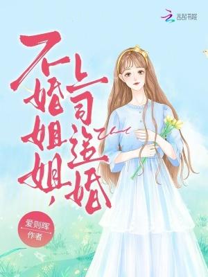 不婚姐姐,上司追婚 不婚姐姐,上司追婚