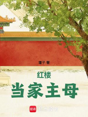 红楼当家主母 红楼当家主母