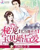 亿万继承者:秘宠宝贝婚后爱 亿万继承者:秘宠宝贝婚后爱