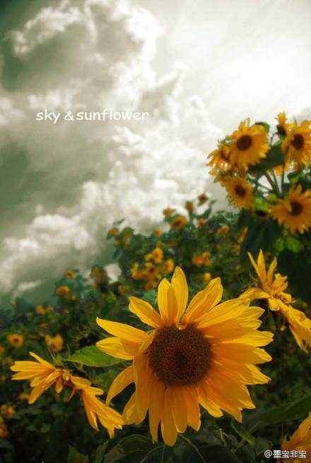 一厘米的阳光 一厘米的阳光