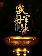 盛世宝鉴 盛世宝鉴